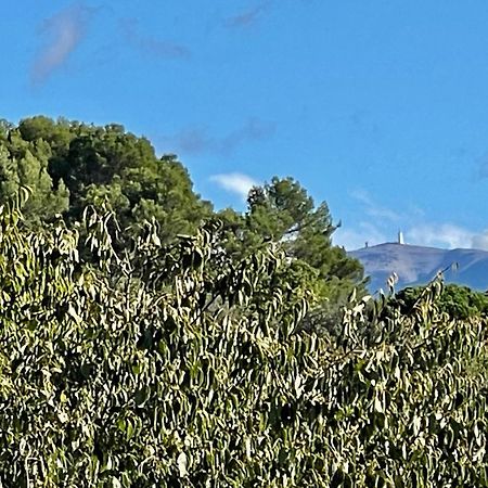 Le Mas De Mirabel Εξωτερικό φωτογραφία